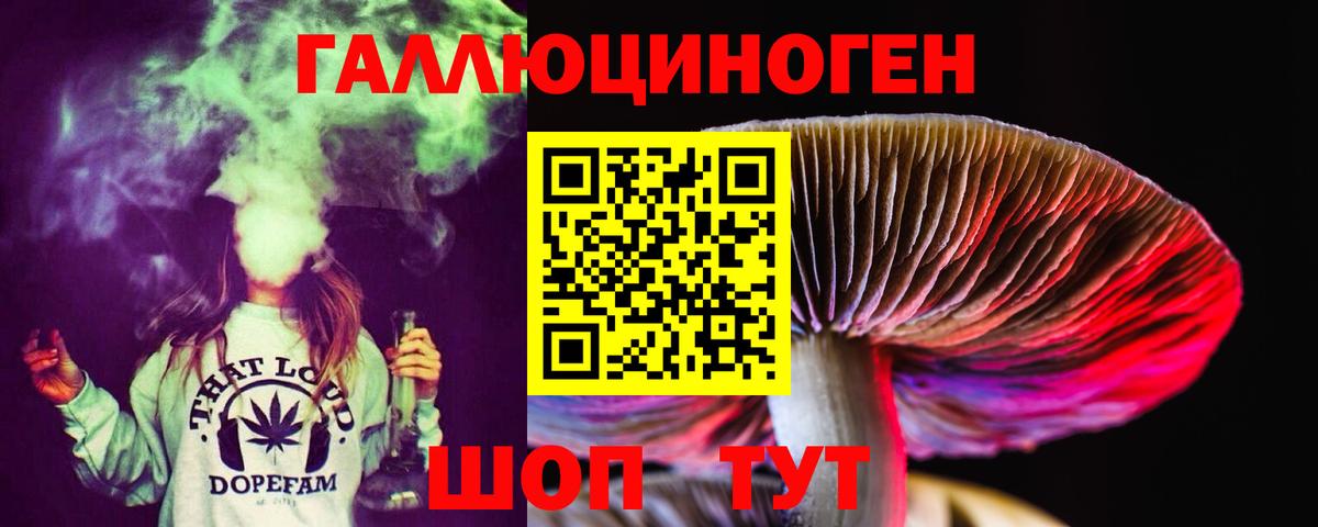 Псилоцибиновые грибы прущие грибы  Псилоцибиновые грибы мицелий  Вход с VPN  Канаш 